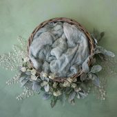 Silky Sage