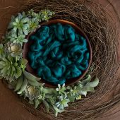 Teal Desert Rose