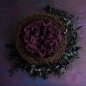 Royal Nest – Purple