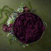 Bright Succulent – Plum