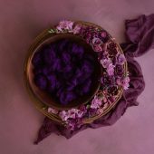 Purple Enchantment