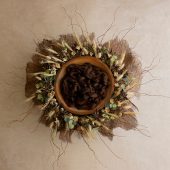 Earthy Nest – Dark