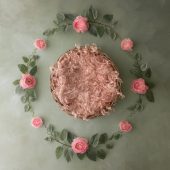 Garden Rose