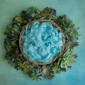 Succulent Garden Teal