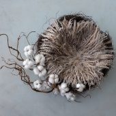 Cotton Nest