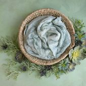 Rustic Succulents – Sage