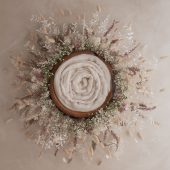 Fluffy Dried Blooms