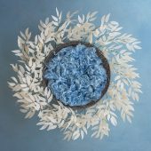 Ruscus Wreath Winter