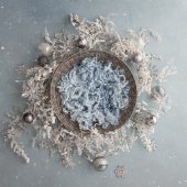 Snow Freeze