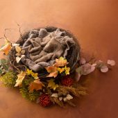 Autumn Nest – Backlit