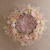 Peach Dawn Pink