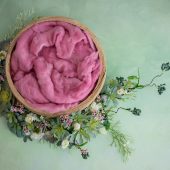 Succulent Life – Bright