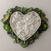 White Succulent Heart