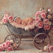 Princess Pram (AI)