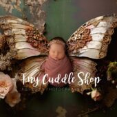 Vintage Rustic Butterfly (AI)